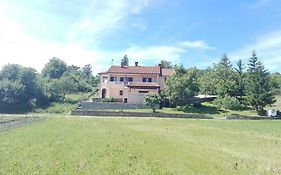 Zule Apartment